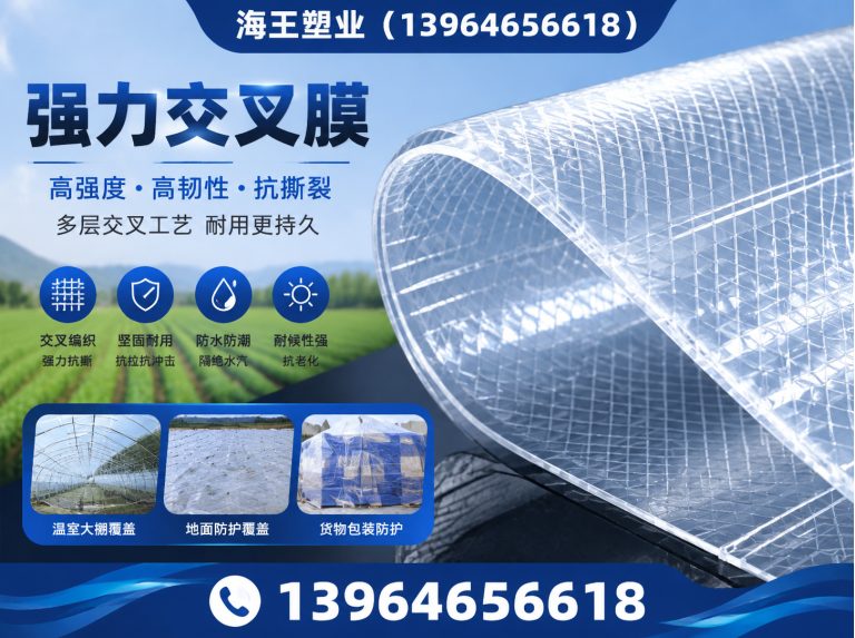 安丘市PE离型膜展示图